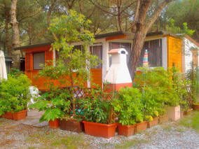 Casa mobile - Casa mobile d'occasione - Casa mobile usata - Casa mobile preingresso - case mobili su carrello - case mobili su ruote